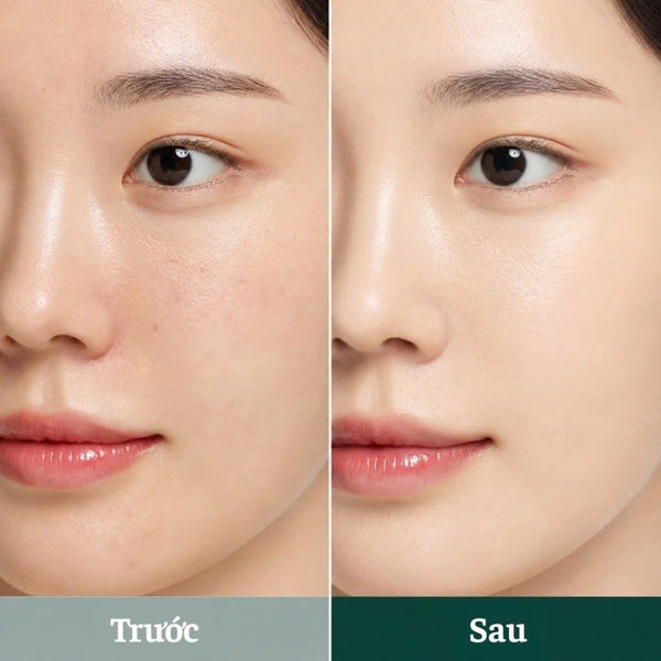 Phấn Tươi OHUI Xanh Ultimate Cover Denier Pact Tông #23 -Hộp 15g+1 lõi refill 15g - EXP 202905