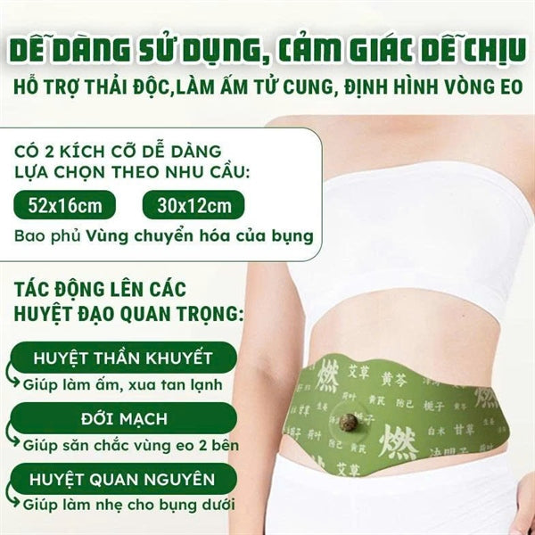 Miếng Dán Ngải Cứu Tan Mỡ Bụng - 5 miếng - EXP 2028