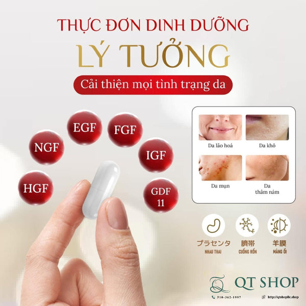 Viên Uống Nhau Thai Cuống Rốn My Placen EX - 60 viên - Japan - EXP 202702