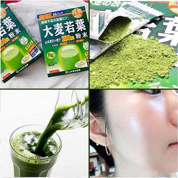 Bột Mầm Lúa Mạch Non Japan - 22 gói