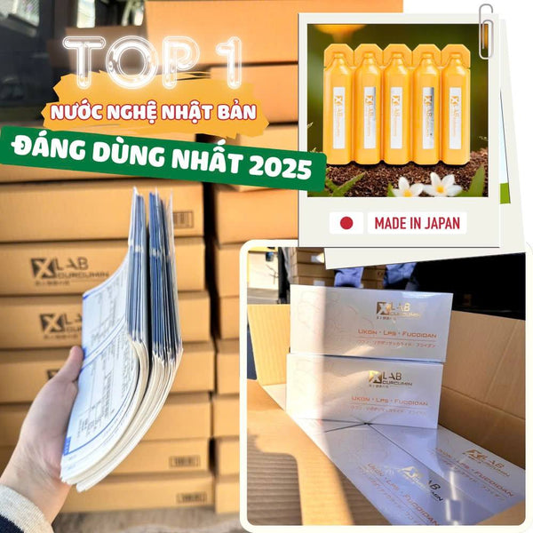 Tinh chất nghệ nano Xlab Curcumin Ukon LPS Fucoidan