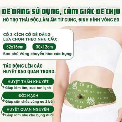 Miếng Dán Ngải Cứu Tan Mỡ Bụng - 5 miếng - EXP 2028