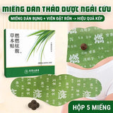 Miếng Dán Ngải Cứu Tan Mỡ Bụng - 5 miếng - EXP 2028