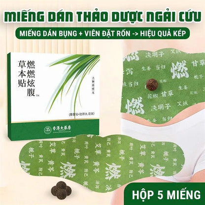 Miếng Dán Ngải Cứu Tan Mỡ Bụng - 5 miếng - EXP 2028