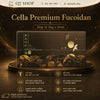 Cella Premium Fucoidan Hàn Quốc - Hộp 21 ống x 20ml