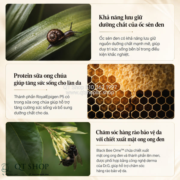 Mặt Nạ Kem Ốc Sên Đen Dr.G Royal Black Snail Cream Mask - Hộp 10 miếng