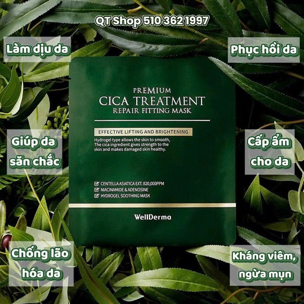 Mask Thạch Cica Rau Má Wellderma - 4ea - EXP 202805