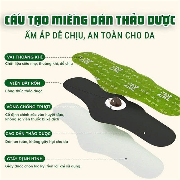 Miếng Dán Ngải Cứu Tan Mỡ Bụng - 5 miếng - EXP 2028